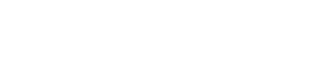 大智通空運